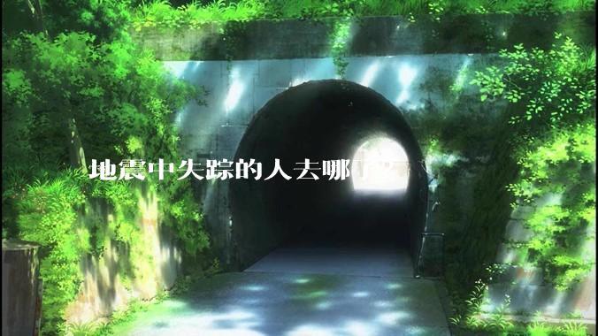 地震中失踪的人去哪了？
