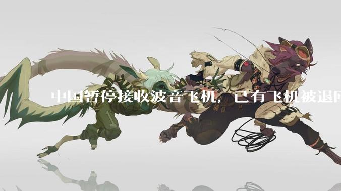 中国暂停接收波音飞机，已有飞机被退回美国，如何看待此事？后续将如何发展？